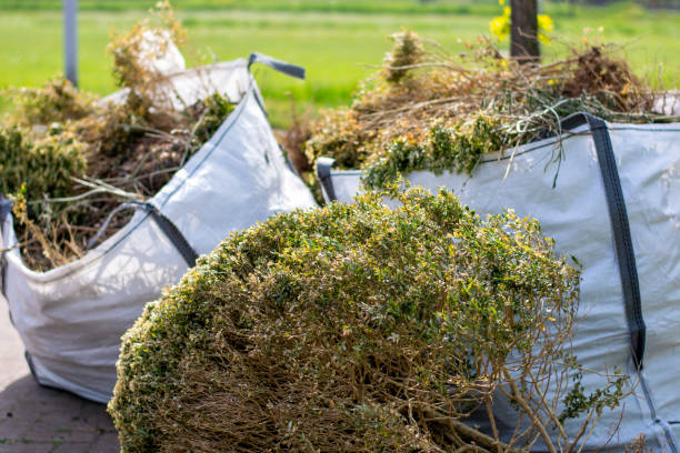Best Dumpster Rental Services  in Clifton, NJ